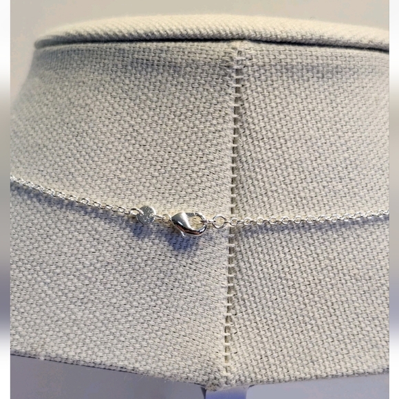 Fine Silver Plated Dachshund Dog Necklace Weiner Dog Pet Family Animal - Picture 6 of 6